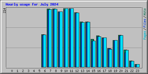 Hourly usage for July 2024