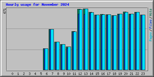 Hourly usage for November 2024