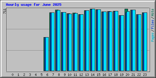 Hourly usage for June 2025
