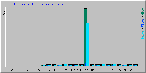 Hourly usage for December 2025