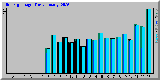 Hourly usage for January 2026